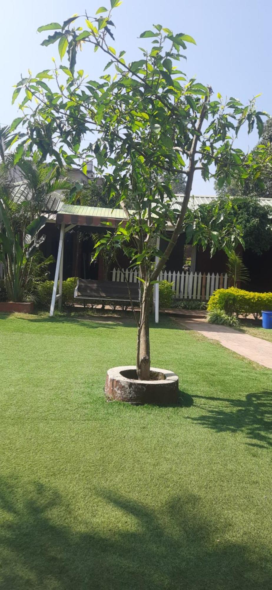 Hotel Oakwood Mahābaleshwar Buitenkant foto